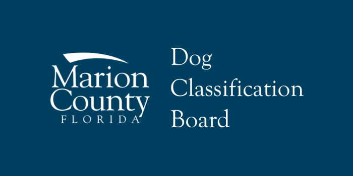 Featured background image for Dog Classification Board